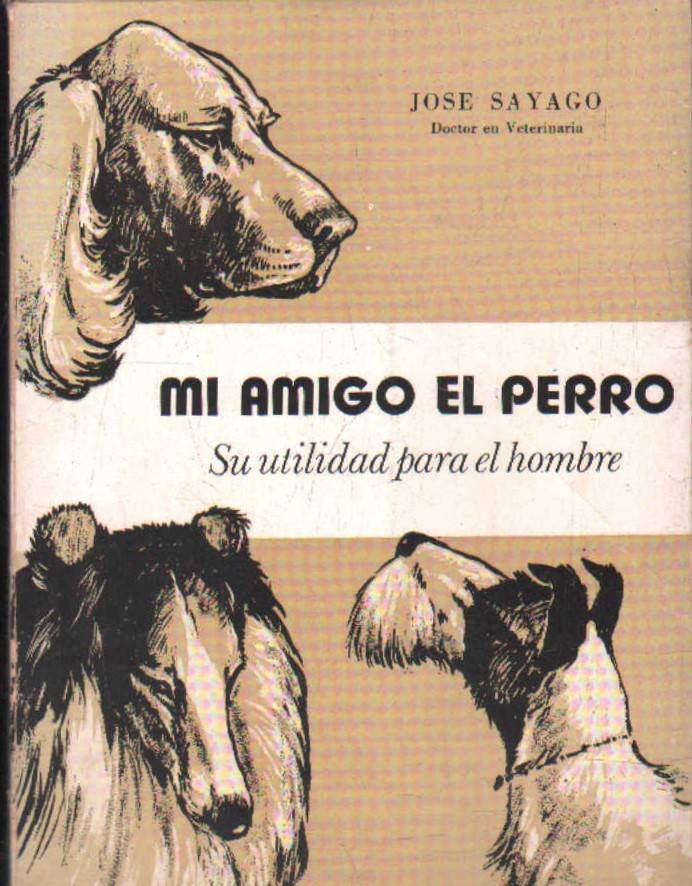 MI AMIGO EL PERRO