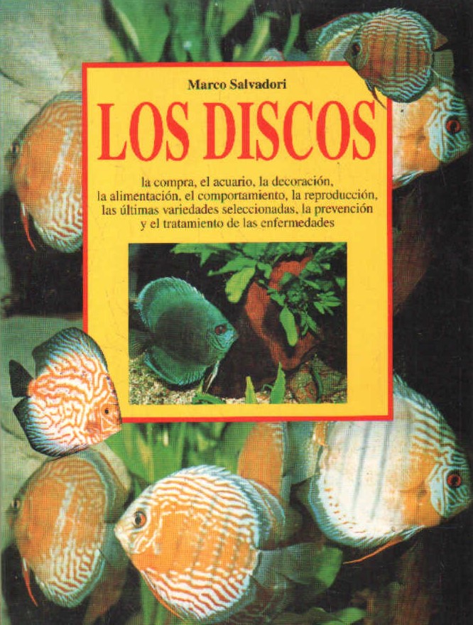 LOS DISCOS. LA COMPRA, EL ACUARIO, LA DECORACIÓN…