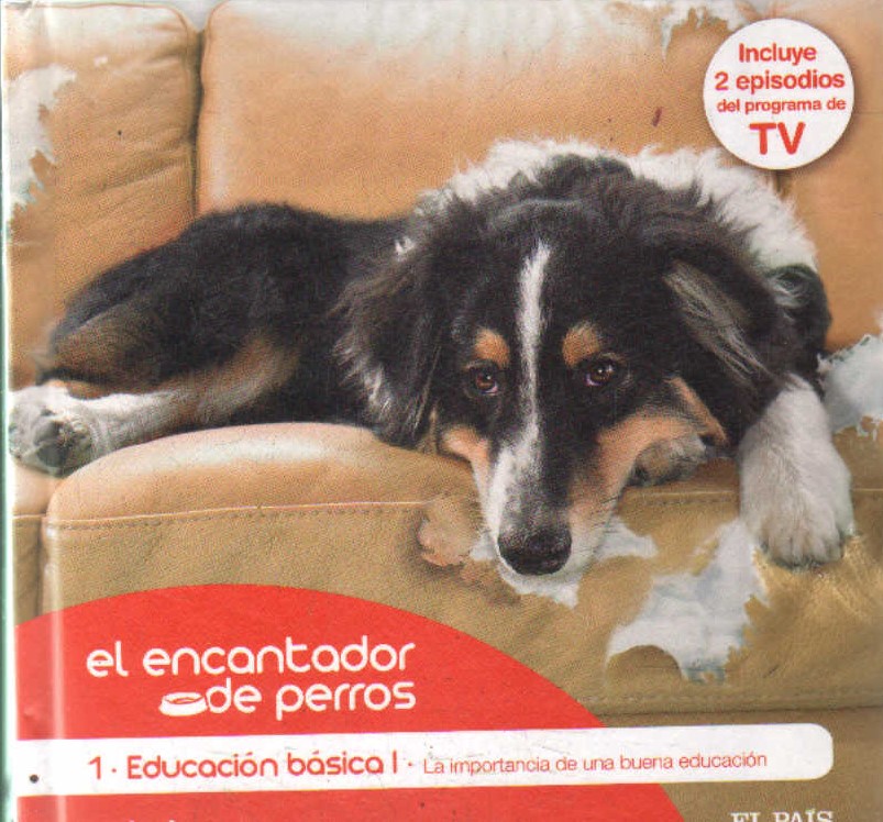 EL ENCANTADOR DE PERROS 1: EDUCACIÓN BÁSICA I