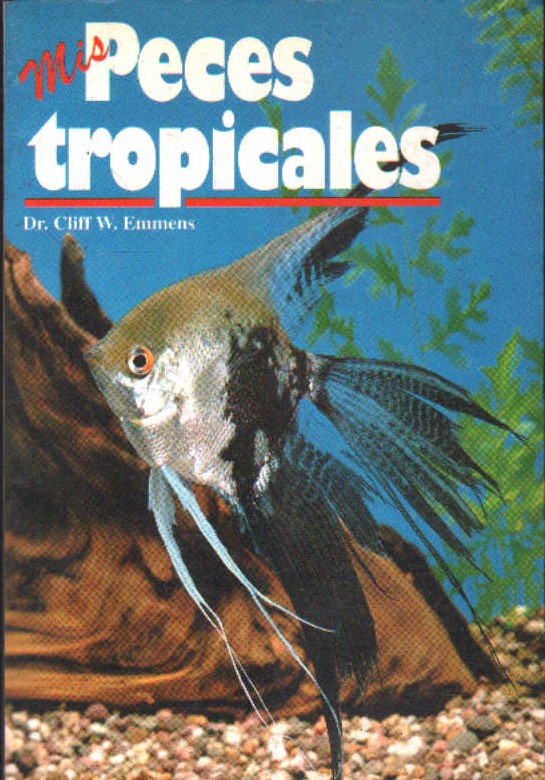 MIS PECES TROPICALES