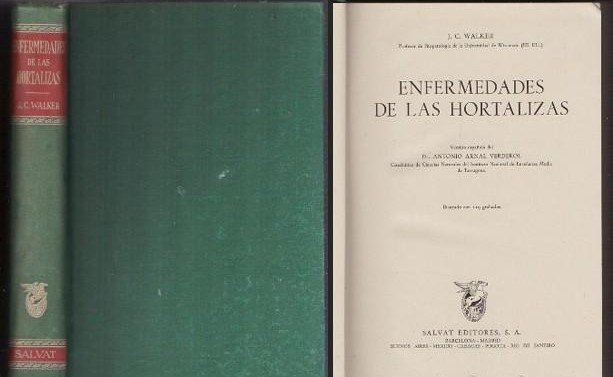 ENFERMEDADES DE LAS HORTALIZAS.