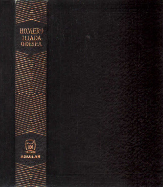 LA ILIADA - LA ODISEA