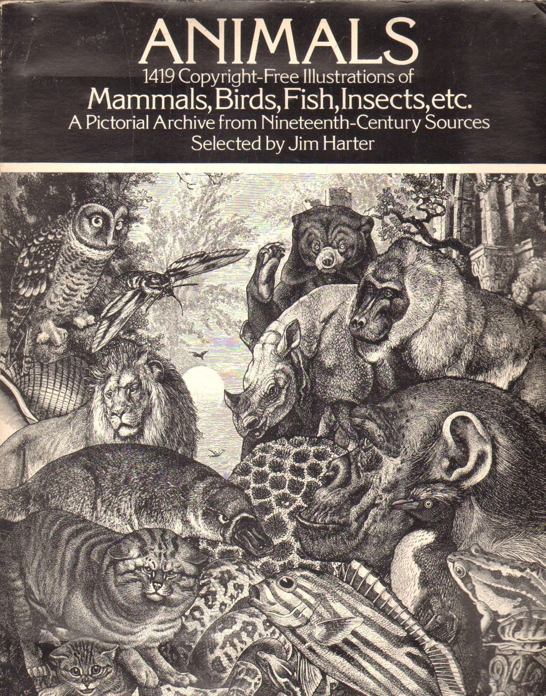 LOS ANIMALES. COMO SON, DONDE VIVEN, COMO VIVEN