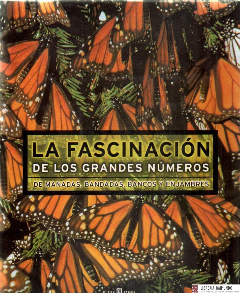 LA FASCINACIÓN DE LOS GRANDES NÚMEROS DE MANADAS, BANDADAS, BANCOS Y ENJAMBRES