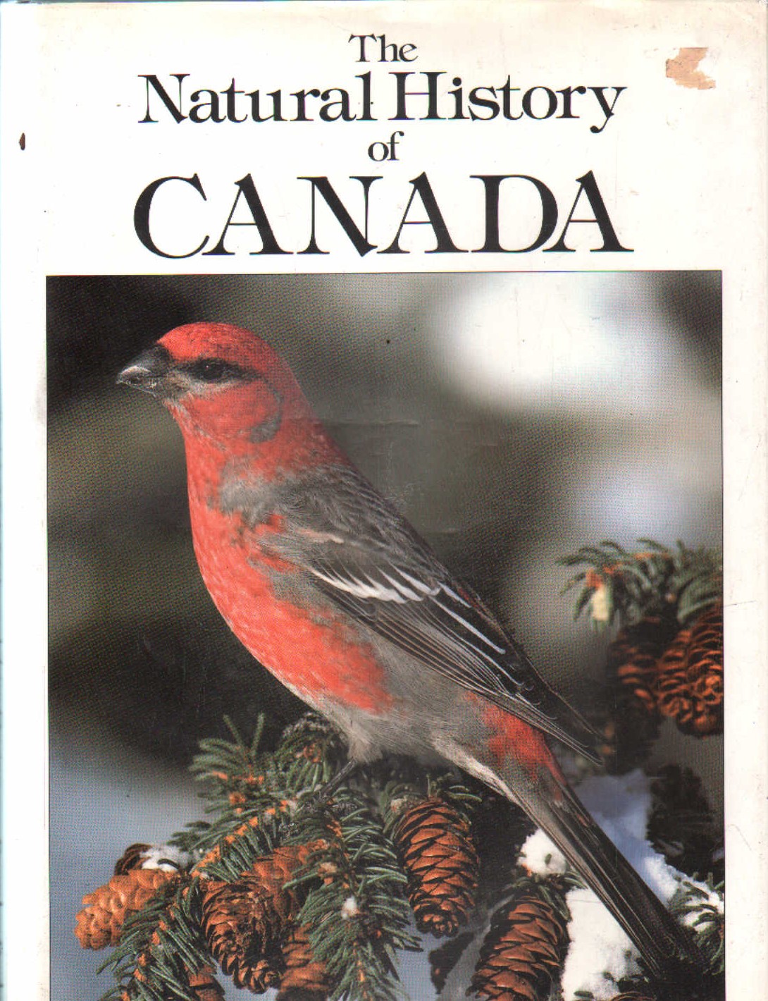 THE NATURAL HISTORY OF CANADA
