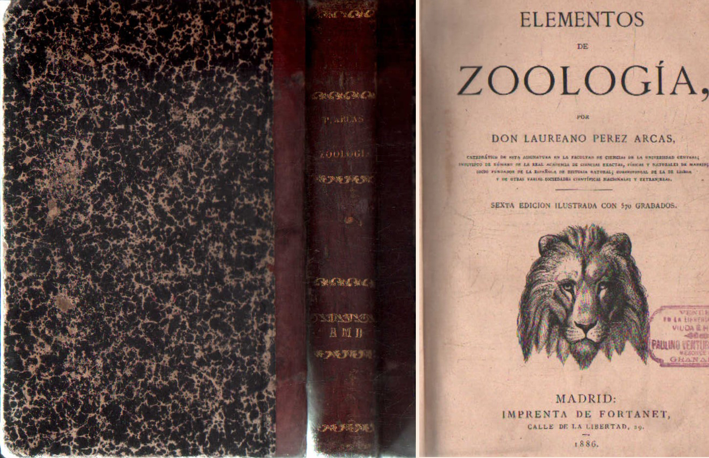ELEMENTOS DE ZOOLOGÍA