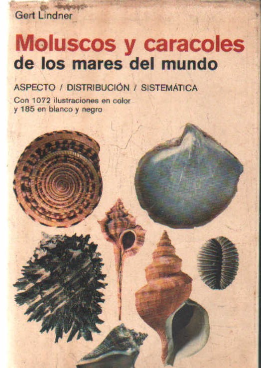 MOLUSCOS Y CARACOLES DE LOS MARES DEL MUNDO