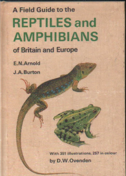 A FIELD GUIDE TO THE REPTILES AND AMPHIBIANS