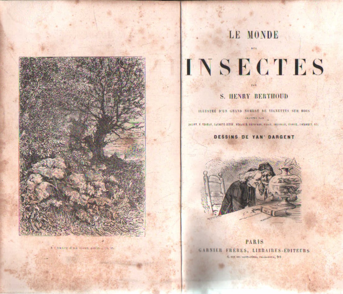 LE MONDE DES INSECTES