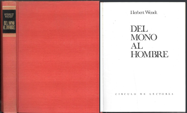 DEL MONO AL HOMBRE