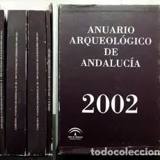 ANUARIO ARQUEOLOGICO DE ANDALUCIA 2002.