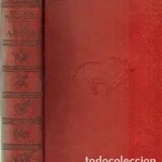 LAS ARTES
