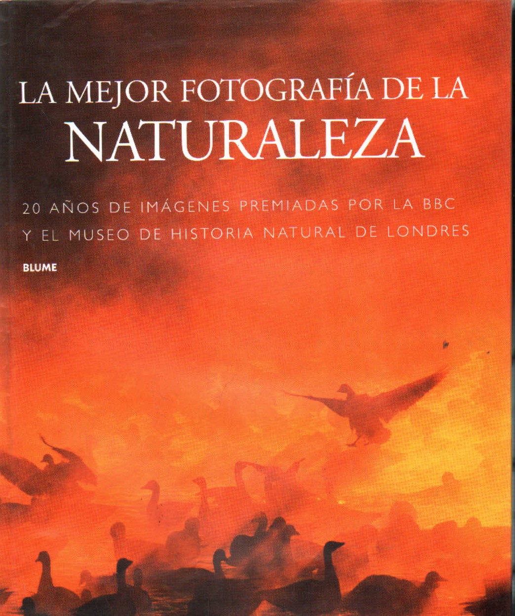 LA MEJOR FOTOGRAFÍA DE LA NATURALEZA