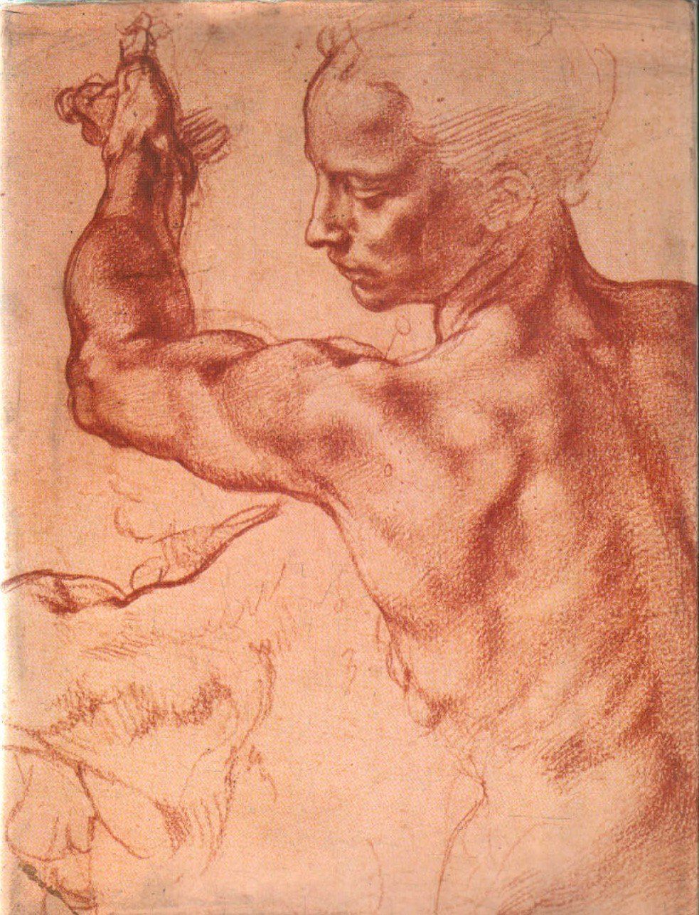 HISTOIRE D'UN ART: LE DESSIN