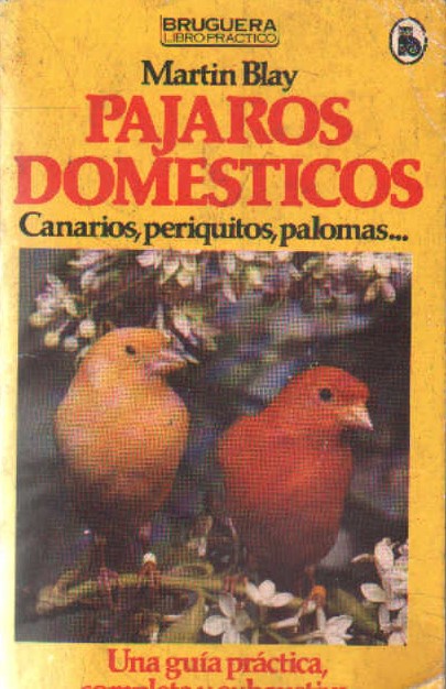 PAJAROS DOMESTICOS. CANARIOS, PERIQUITOS, PALOMAS…
