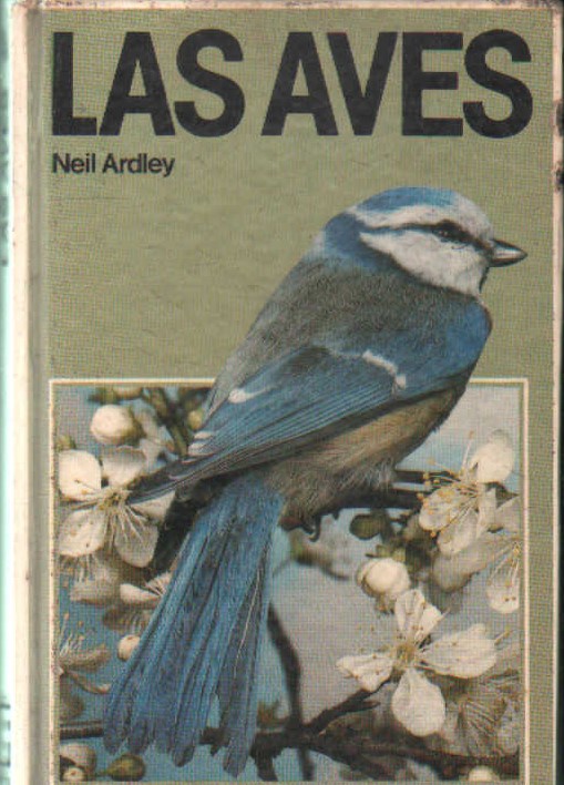 LAS AVES
