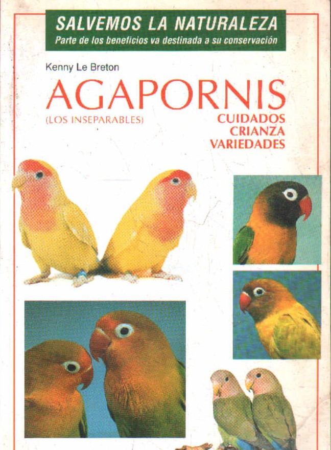 AGAPORNIS (LOS INSEPARABLES). CUIDADOS, CRIANZA, VARIEDADES