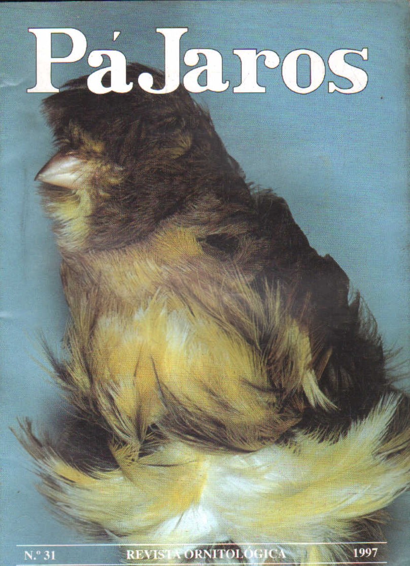 REVISTA PÁJAROS/FOCDE. NÚMERO 31