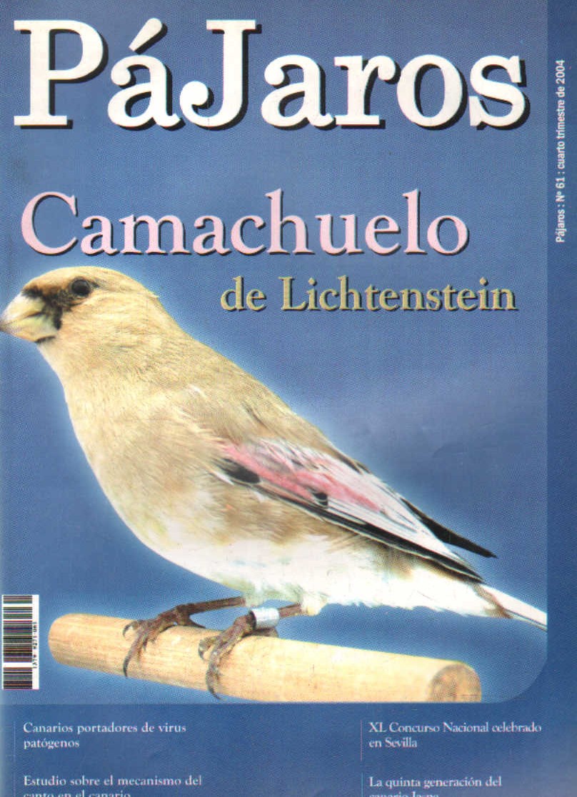 REVISTA PÁJAROS/FOCDE. NÚMERO 61