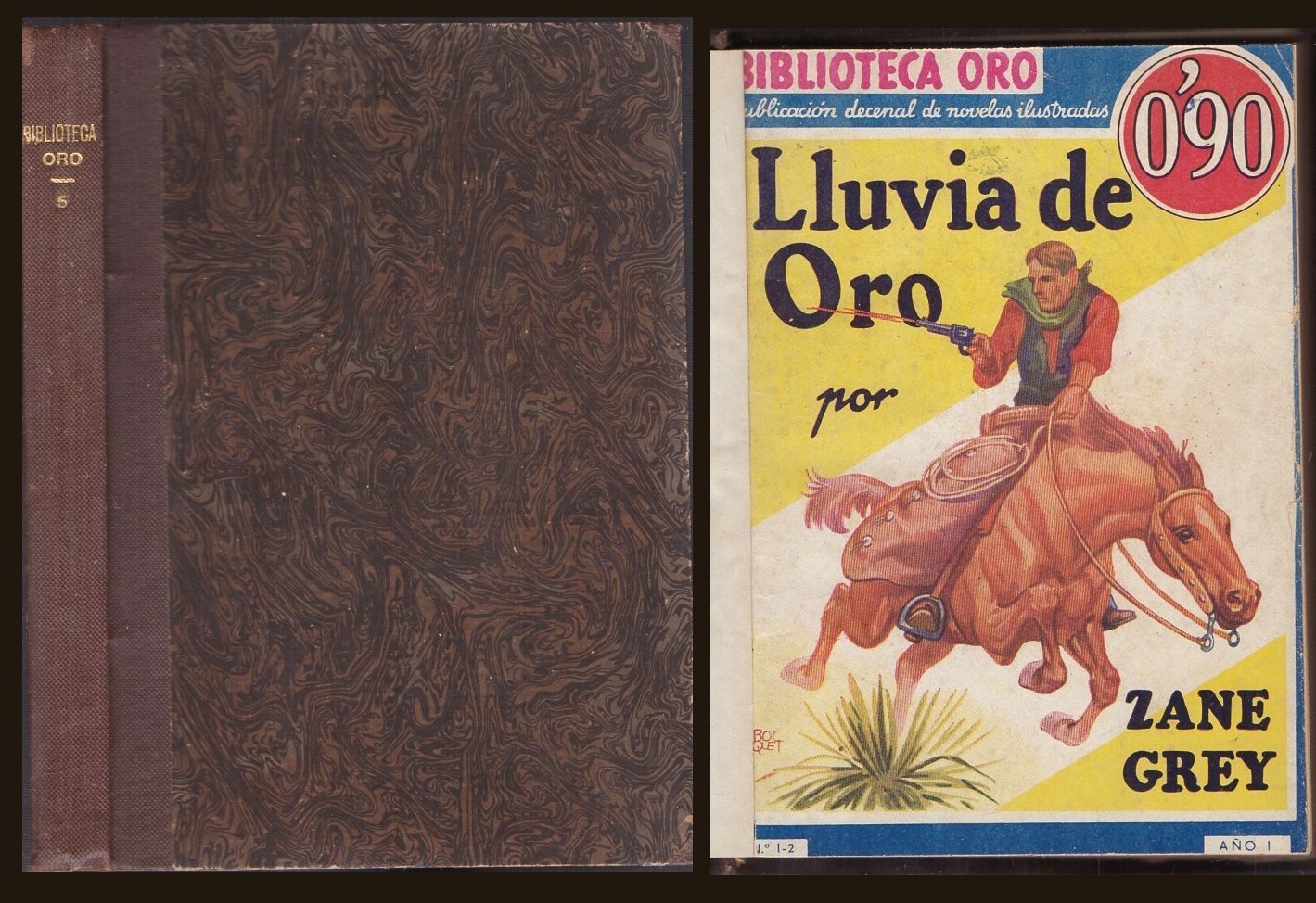 LLUVIA DE ORO - SIGUIENDO LA PISTA - LA COBARDIA DE LARRY. TOMO 5