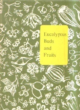 EUCALYPTUS, BUDS AND FRUITS