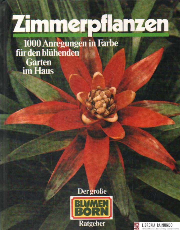 ZIMMERPFLANZEN