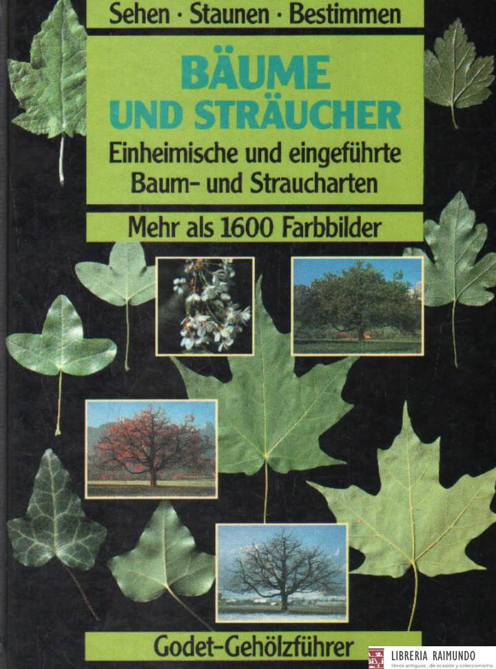 BÄUME UND STRÄUCHER
