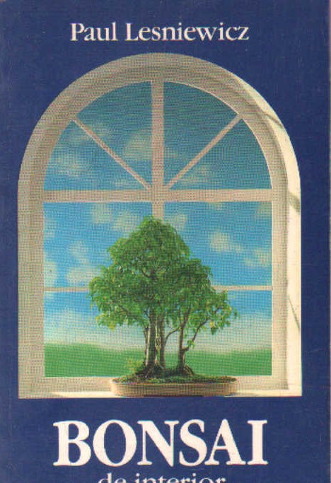 BONSAI DE INTERIOR