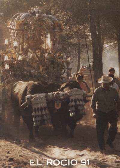 EL ROCIO 91