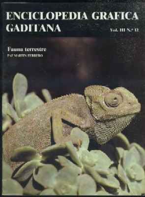 FAUNA TERRESTRE
