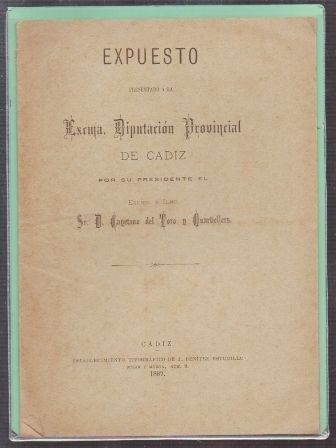 EXPUESTO PRESENTADO A LA EXCM.A DIPUTACION PROVINCIAL DE CADIZ POR SU PRESIDENTE.