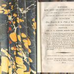 INFORME QUE HIZO EN ESTRADOS EL LICENCIADO JOAQUIN DE LA PEÑA DICIEMBRE 1813