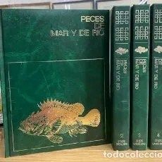 PECES DE MAR Y DE RIO