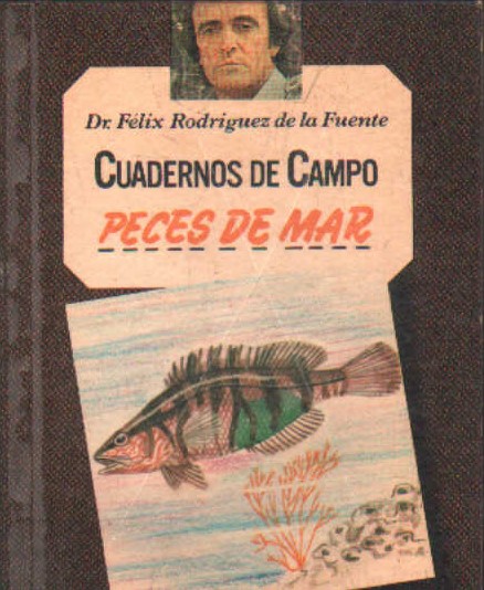 CUADERNOS DE CAMPO Nº 32: PECES DE MAR
