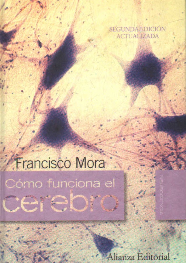 COMO FUNCIONA EL CEREBRO