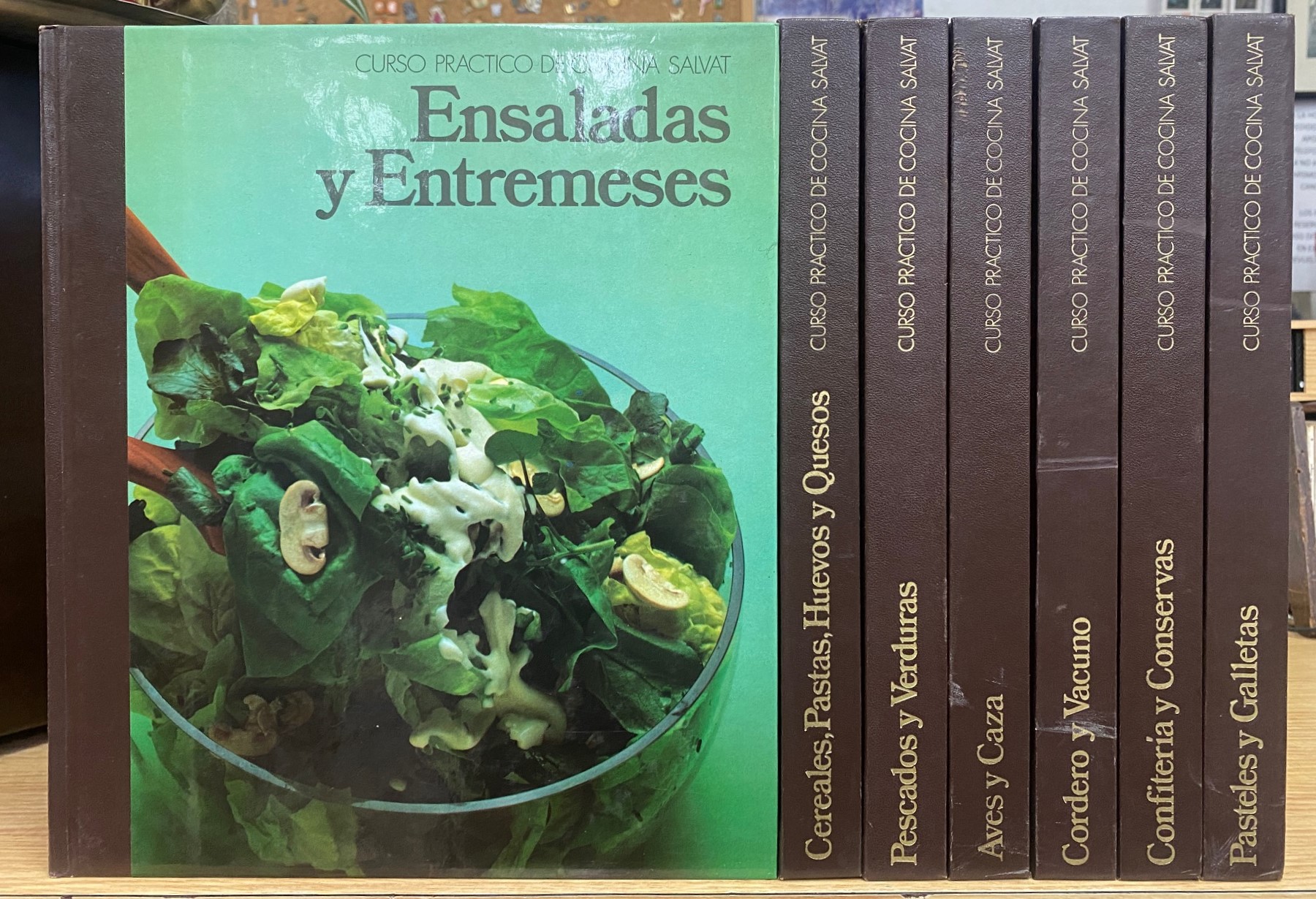 CURSO PRACTICO DE COCINA SALVAT (7 TOMOS)