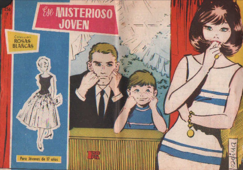 COLECCIÓN ROSAS BLANCAS, PARA JOVENES DE 17 AÑOS Nº 256: EL MISTERIOSO JOVEN