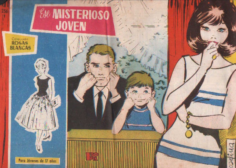 COLECCIÓN ROSAS BLANCAS, PARA JOVENES DE 17 AÑOS Nº 256: ESE MISTERIOSO JOVEN