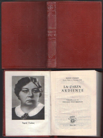 LA ZARZA ARDIENTE - COLECCIÓN CRISOL Nº 384