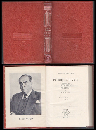 POBRE NEGRO. COLECCIÓN CRISOL Nº 344