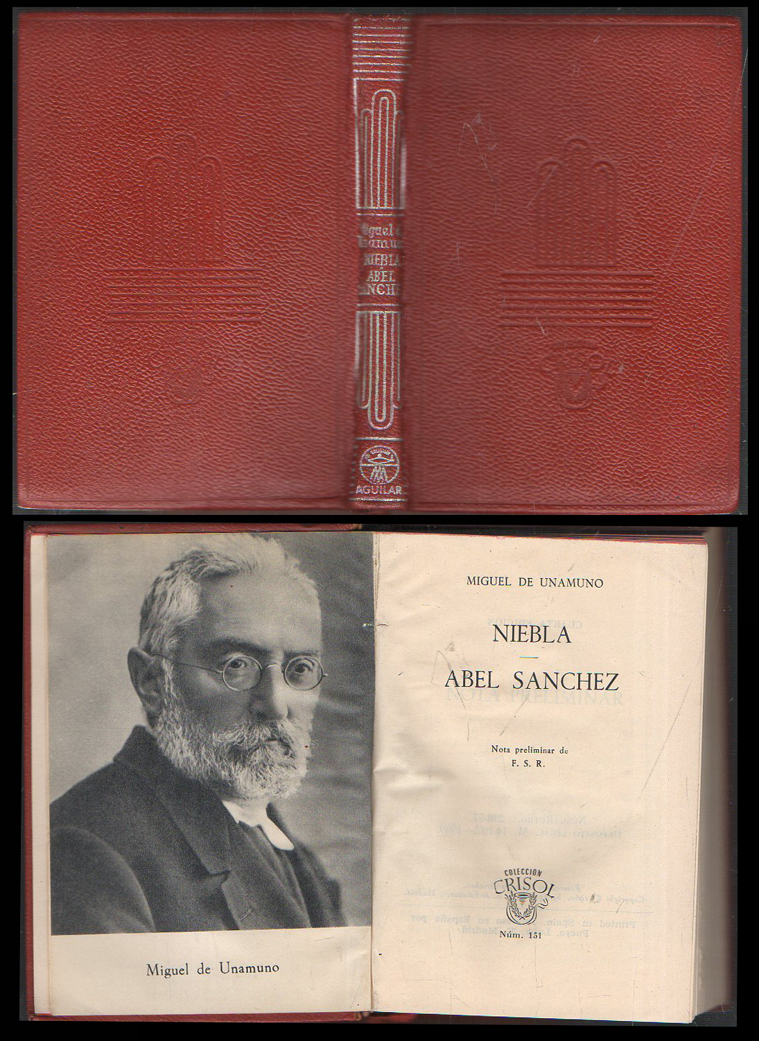 NIEBLA - ABEL SANCHEZ. COLECCIÓN CRISOL Nº 151