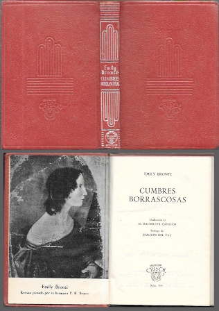 CUMBRES BORRASCOSAS - COLECCIÓN CRISOL Nº 199