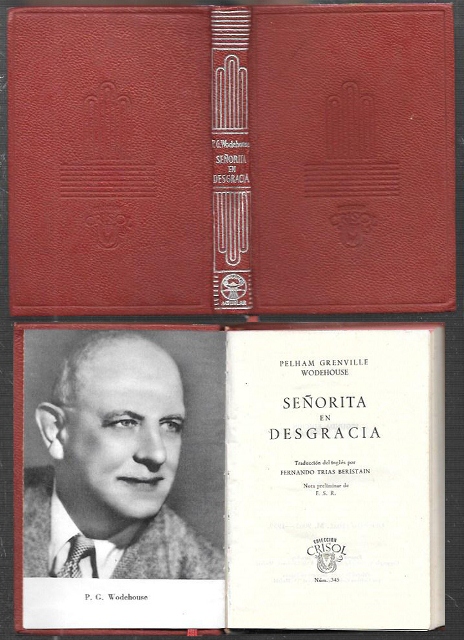 SEÑORITA EN DESGRACIA - COLECCIÓN CRISOL Nº 345