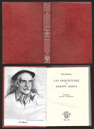 LAS INQUIETUDES DE SHANTI ANDIA - COLECCION CRISOL  Nº 309