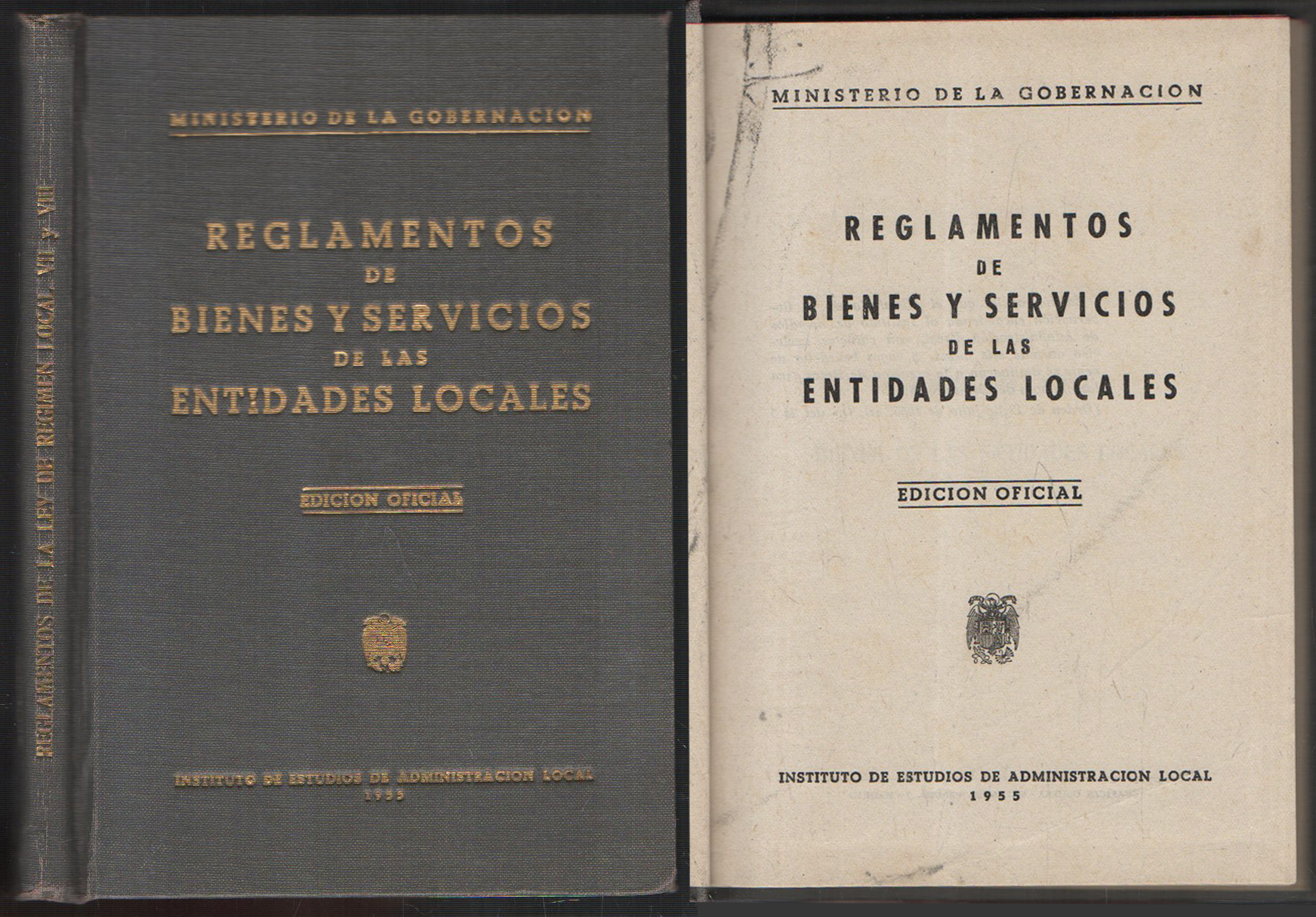REGLAMENTOS DE BIENES Y SERVICIOS DE LAS AUTORIDADES LOCALES