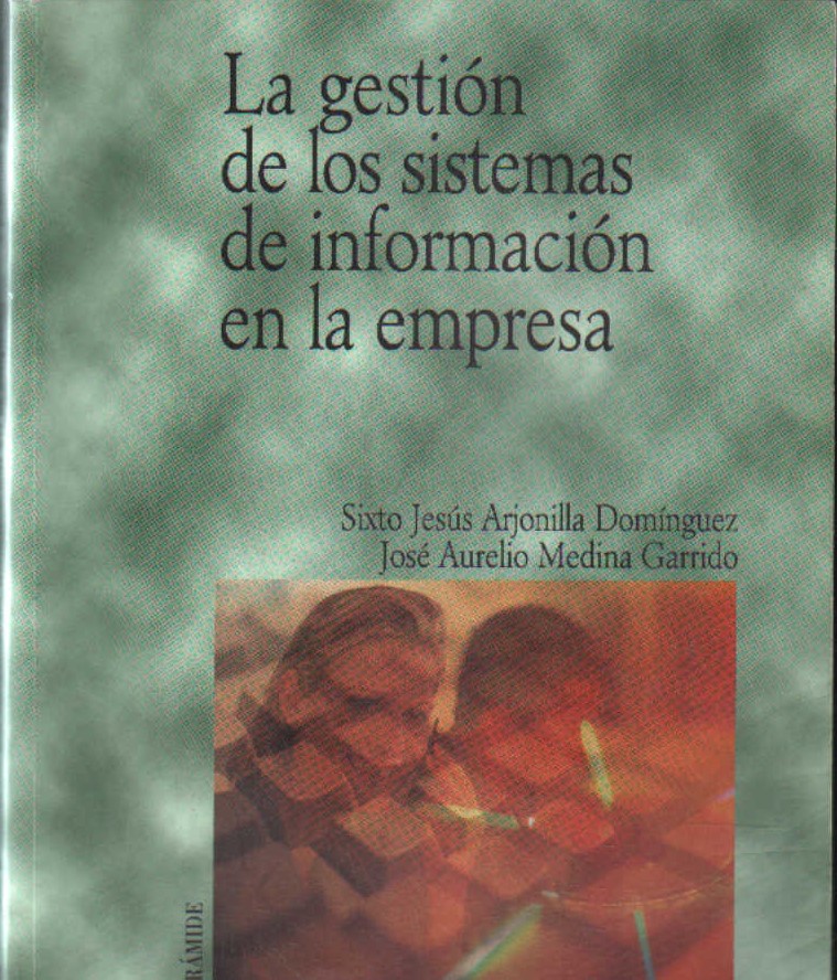 LA GESTIÓN DE LOS SISTEMAS DE INFORMACIÓN EN LA EMPRESA