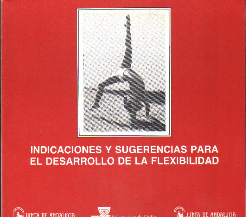 INDICACIONES Y SUGERENCIAS PARA EL DESARROLLO DE LA FLEXIBILIDAD. ED. FISICA CICLO SUPERIOR EGB