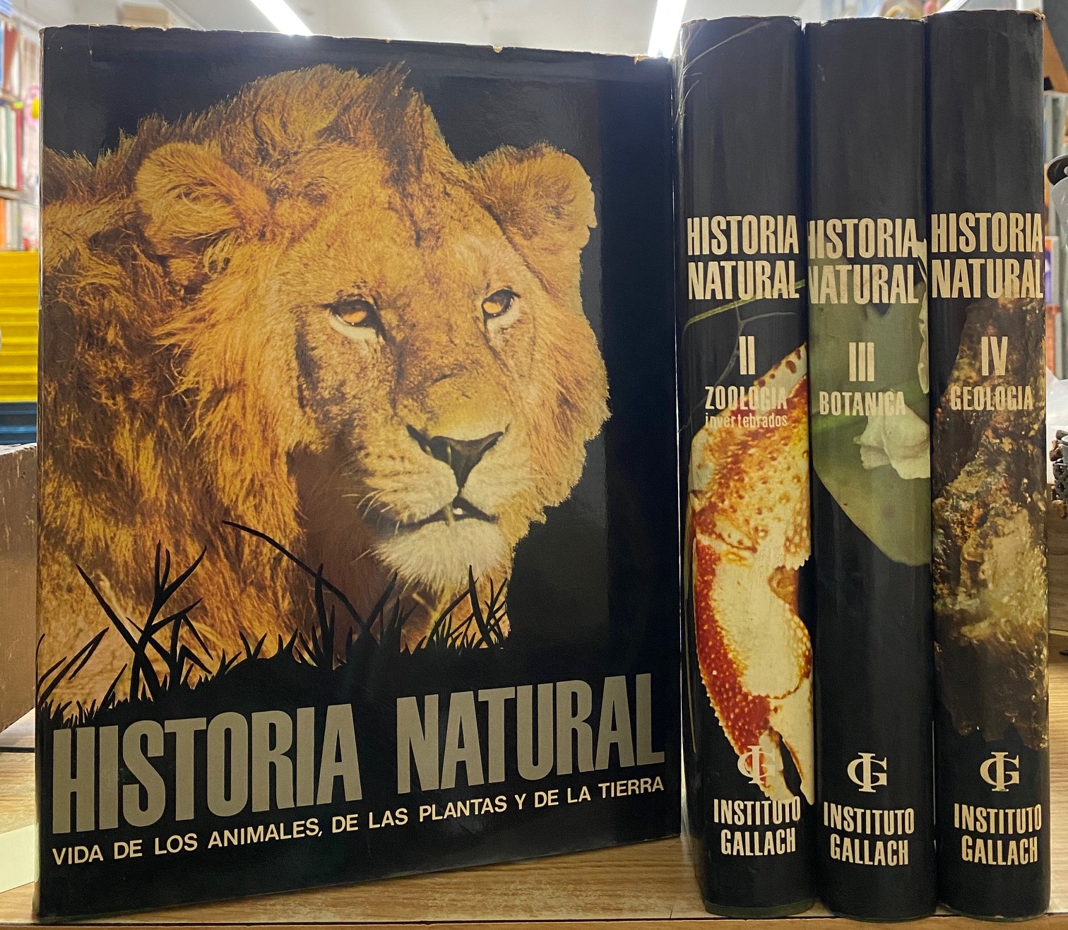 HISTORIA NATURAL INSTITUTO GALLACH (4 TOMOS)
