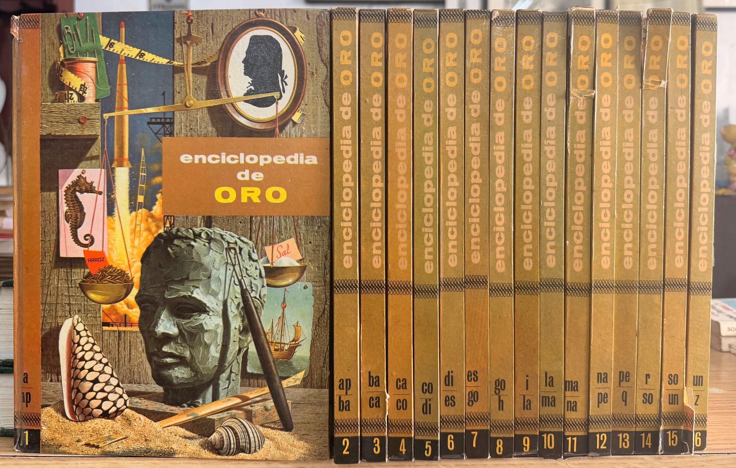 ENCICLOPEDIA DE ORO (15 TOMOS)
