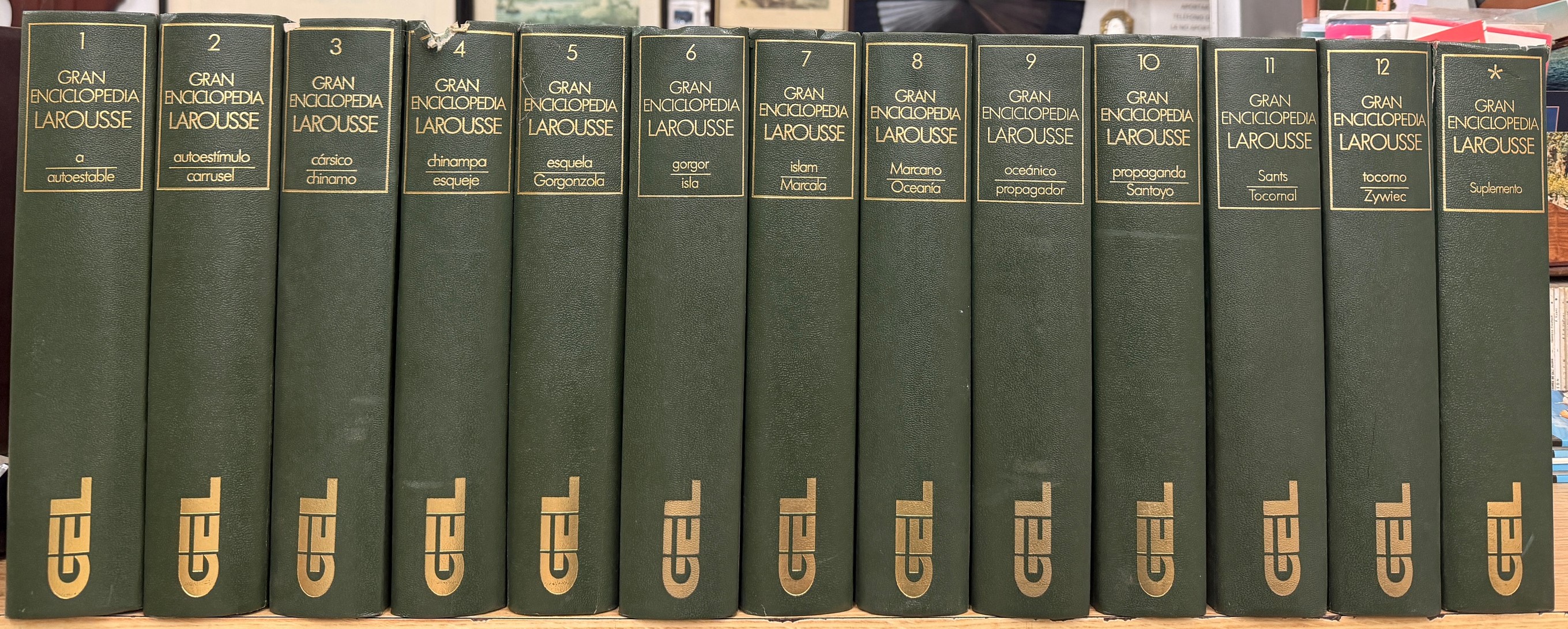 GRAN ENCICLOPEDIA LAROUSSE (12 TOMOS + 1 SUPLEMENTO)